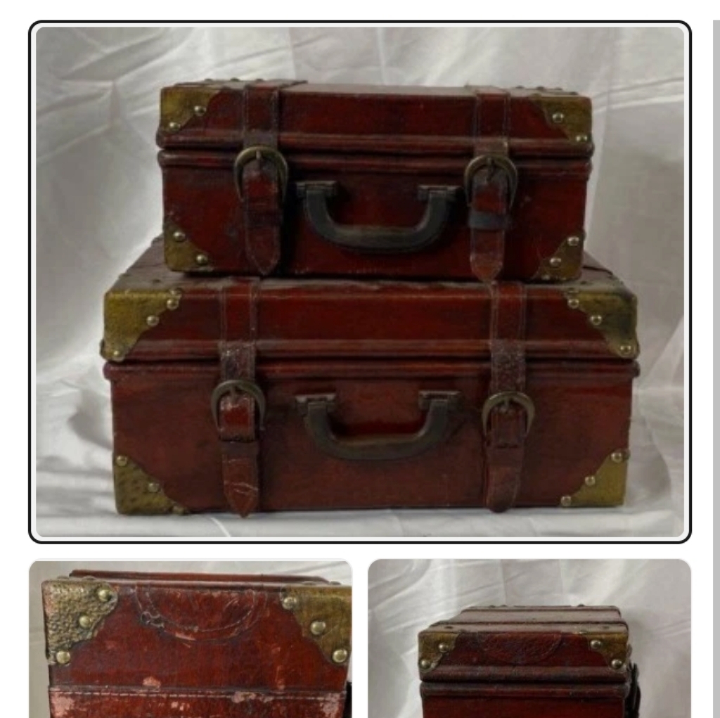 Antique Collector's Find Luggage Set